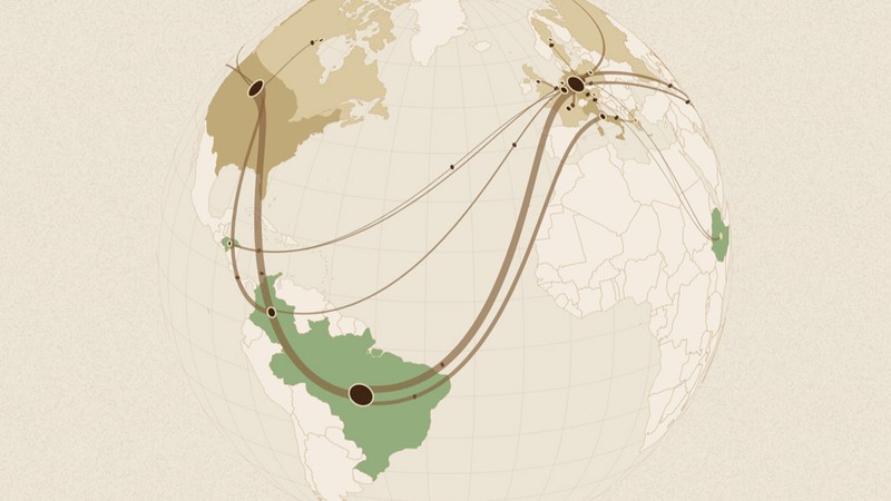 Coffee Supply Chain Sankey Map